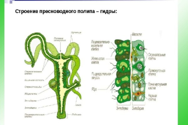 Кракен онион зеркало