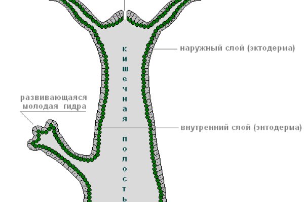 Кракен сайт 2krnk